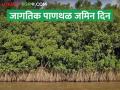 world wetlands day; पर्यावरण संतुलनासाठी पाणथळ जागांचे संवर्धन आवश्यक - Marathi News | world wetlands day; Conservation of wetlands is essential for environmental balance | Latest agriculture News at Lokmat.com