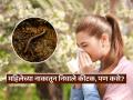 शेळ्यामेंढ्याच्या नाकात होणाऱ्या अळ्या महिलेच्या नाकात? अजब इन्फेक्शन पाहून डॉक्टरही धास्तावले.. - Marathi News | Woman sneezes 1 inch live worms due to rare nasal infection | Latest sakhi News at Lokmat.com