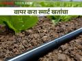 खतांवरील खर्च कमी करून उत्पन्न वाढवायचय.. मग वापरा ही खते - Marathi News | If you want to reduce the cost of fertilizers and increase the income.. then use these fertilizers | Latest agriculture News at Lokmat.com