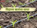 खतांवरील खर्च कमी करण्यासाठी विद्राव्य खतांचा वापर केव्हा व कसा करावा? - Marathi News | When and how to use water soluble fertilizers to reduce costs on fertilizers? | Latest agriculture News at Lokmat.com