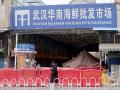 CoronaVirus News: ...अन् चीननं मारली पलटी; कोरोना आणि वुहानबद्दल दिली मोठी माहिती - Marathi News | china admits coronavirus not started from wuhan market kkg | Latest international Photos at Lokmat.com