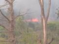 सह्याद्री व्याघ्र प्रकल्पाच्या बफर झोनमध्ये डोंगरास आग  - Marathi News | Mountain fire in buffer zone of Sahyadri Tiger Reserve | Latest sangli News at Lokmat.com