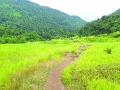 नवी मुंबईत बेलापूरमधील धबधब्यासह निसर्गही उपेक्षित? - Marathi News | Nature neglected along with the waterfall at Belapur in Navi Mumbai? | Latest navi-mumbai News at Lokmat.com