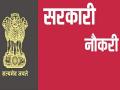 Sarkari Nokari : लेखी परीक्षेचे टेन्शन नाही! फक्त मुलाखतीवर बँकेसह या विभागांत सरकारी नोकऱ्यांची संधी - Marathi News | Sarkari Naukri : No written exam! government jobs in these departments including banks, post | Latest national News at Lokmat.com