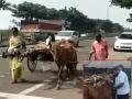लुटारुंनी लुबाडले; संसाराचा गाडा घेवून महिला घोडागाडी ओढत निघाली; कोल्हापुरातील तरुणाने मदतीचा हात देऊन मने जिंकली - Marathi News | A young man from Kolhapur helped a poor couple from Pandharpur who had been robbed | Latest kolhapur News at Lokmat.com