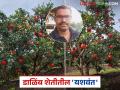 आटपाडीच्या यशवंतचे डाळिंब परदेशात रवाना; माळरानावरील ५०० झाडांनी दिले २५ लाखांचे उत्पन्न - Marathi News | Yashwant's pomegranates from Atpadi are sent abroad; from 500 trees have yielded an income of Rs 25 lakhs | Latest agriculture News at Lokmat.com