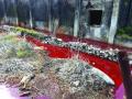 महाडमध्ये एमआयडीसीतील कंपनीबाहेरलाल रंगाचे पाणी! - Marathi News | red water at Outside the company at MIDC in Mahad | Latest raigad News at Lokmat.com