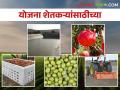 शेतकऱ्यांनो खरीप हंगामासाठी आल्या ह्या योजना; असा घ्या लाभ - Marathi News | Farmers have come up with these schemes for Kharif season; Take advantage of this | Latest agriculture News at Lokmat.com