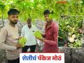 आयटीपेक्षा शेतीच देतेय जास्त पॅकेज; कोठारे बंधूंची टरबूज, द्राक्षातून लाखोंची कमाई - Marathi News | Agriculture offers a higher package than IT; Kothare brothers earn lakhs from watermelon, grapes crops farming | Latest agriculture News at Lokmat.com