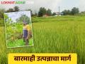 शेतकरी ते ग्राहक विक्री तंत्राचा अवलंब करत बारमाही शेतीतून उत्पन्न घेणारा युवा शेतकरी बळीराम - Marathi News | Adoption of farmer-to-consumer sales technique by young farmer baliram who income through out year from agriculture | Latest agriculture News at Lokmat.com