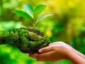 world enviornment day : प्रश्न एवढाच आहे की, आपण मातीत हात घालणार का? - Marathi News | world environment day: time for nature- let's grow something. | Latest oxygen News at Lokmat.com