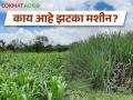 पिकांच्या रक्षणासाठी झटका मशीनचा जुगाड, असं काम करतं मशीन  - Marathi News | Jugad of jakta machine to protect the crops, the machine works like this | Latest agriculture News at Lokmat.com