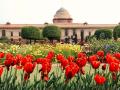 Mughal Garden Name Change: राष्ट्रपती भवनातील मुघल गार्डनचे नाव बदलले; 31 जानेवारीपासून खुले होणार... - Marathi News | Mughal Garden Name Change: Mughal Garden in Rashtrapati Bhavan has been renamed as Amrit Udyan; Will be open from 31st January... | Latest national News at Lokmat.com