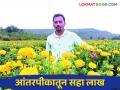 हिवतडच्या महेशने पेरूत लावला पिवळा झेंडू आंतरपीकातून मिळतंय चांगल उत्पन्न - Marathi News | young farmer mahesh Yellow marigold planted in guava yield be will 12 tons per acre | Latest agriculture News at Lokmat.com