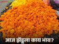 Zendu Bajarbhav : चांदवडला एक हजार क्विंटलची आवक, दसऱ्याला झेंडूला प्रति शेकडा काय भाव?  - Marathi News | Latest News Zendu Market One thousand quintals of Chandwad, marrigold market price on dasara | Latest agriculture News at Lokmat.com