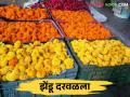 Zendu Bajar Bhav : बाजारात झेंडू फुलांना मागणी वाढली कसा मिळतोय दर - Marathi News | Zendu Bajar Bhav : Demand for marigold flowers has increased in the market.. How is the price getting? | Latest agriculture News at Lokmat.com