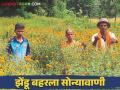 Youth Farmer Success Story : कृषी पदवीधारक युवा शेतकऱ्याचा सेंद्रीय झेंडू फुलशेतीचा यशस्वी प्रयोग - Marathi News | Youth Farmer Success Story : A successful experiment of organic marigold flower farming by a young farmer with an agriculture degree | Latest agriculture News at Lokmat.com