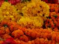 गणेशोत्सवाचा उत्साह शिगेला, पणजीत ‘फुलांना फुल्ल मार्केट’ - Marathi News | Ganeshotsav's excitement everywhere, Flower rates hike in Panji | Latest goa News at Lokmat.com