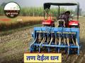 Zero Tillage Technology: शुन्य मशागत 'तंत्र'च का? जाणून घ्या सविस्तर - Marathi News | Zero Tillage Technology: latest news Why Zero Tillage 'Technology'? Read in detail | Latest agriculture News at Lokmat.com