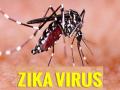 गर्भारपणात ‘झिका’ झाल्यास बाळास जन्मजात विकृती; कोल्हापुरात पाच गर्भवतींना झिकाची लागण, आरोग्य यंत्रणा सतर्क - Marathi News | Congenital malformations in the baby if Zika occurs during pregnancy, Five pregnant women infected with Zika in Kolhapur | Latest kolhapur News at Lokmat.com
