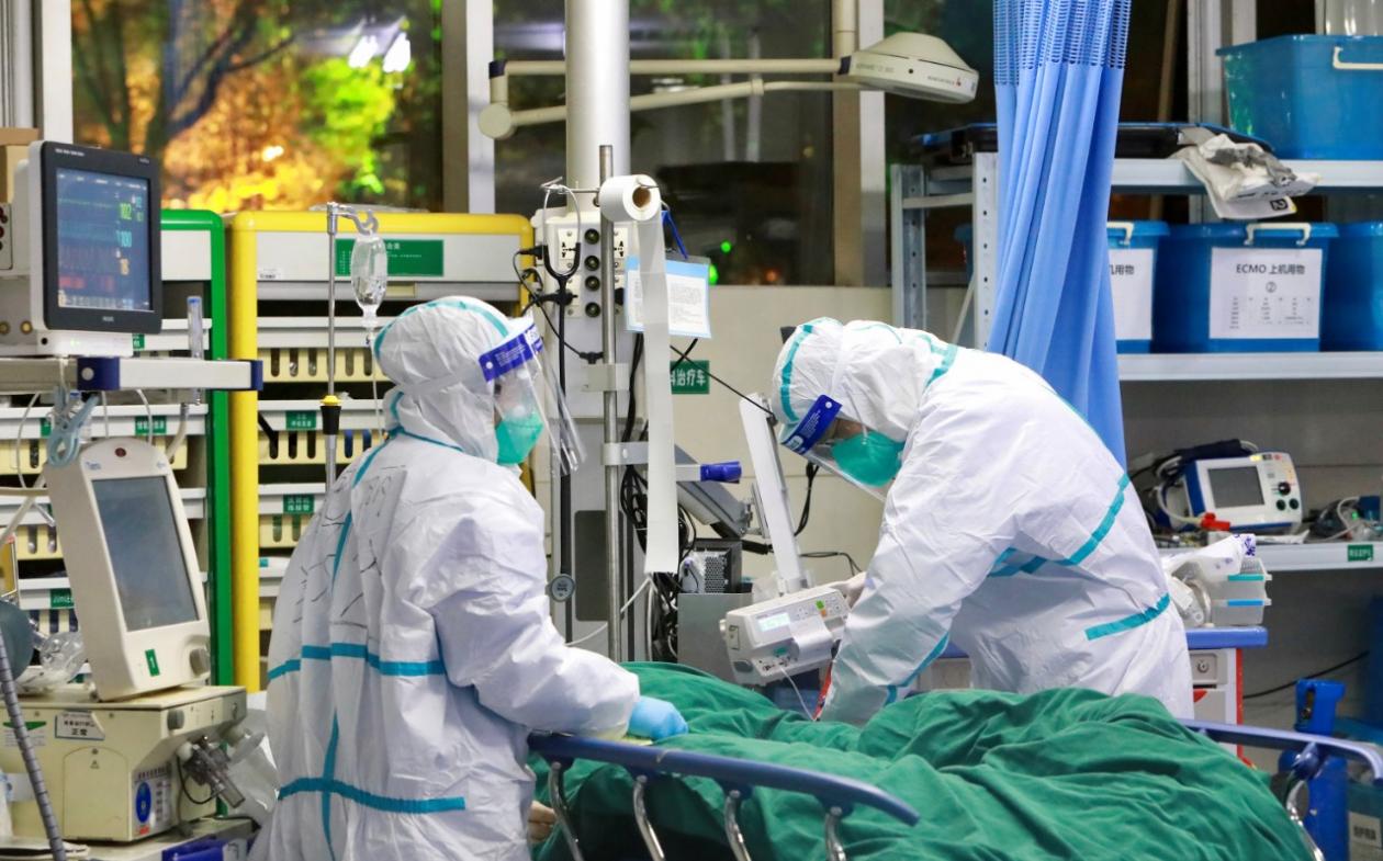 Animals getting infected with COVID-19 due to humans? 10,000 minks die at US farm | english.lokmat.com