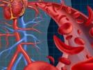 Health Tips: Home Remedies to Increase Hemoglobin Levels | Latest health Photos at www.lokmattimes.com Health Tips: Home Remedies to Increase Hemoglobin Levels | Latest health Photos at www.lokmattimes.com