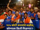 विश्वविजेत्या Team India ला मिळालेल्या बक्षिसाचे 'भारी' वाटप; इतर कर्मचाऱ्यांनाही मिळणार लाभ!