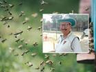 Bee Attack: क्रिकेट सामन्यादरम्यान मधमाश्यांचा हल्ला, खेळाडू जखमी, तर गंभीर जखमी झालेल्या पंचांचा मृत्यू