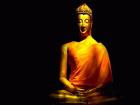 बुद्धिस्ट सर्किट