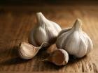 प्रमाणापेक्षा जास्त लसूण खाल्ल्याने 'या' समस्या उद्भवतात... - Marathi News | Eating too much garlic causes 'these' problems ... | Latest health Photos at Lokmat.com
