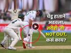 WTC मध्ये राडा! हाताने चेंडूने जमिनीवर टाकला तरीही फलंदाज नाबाद; ऑस्ट्रेलिया टीम हैराण, नियम काय?