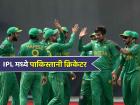 पुढल्या वर्षीच्या IPL स्पर्धेत खेळणार स्टार पाकिस्तानी खेळाडू! स्वत:च सांगितला खास 'प्लॅन'