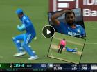 KL Rahul पुन्हा चूकला, शमीने डोक्यावर हात ठेवला; नशीब सूर्यकुमार धावून आला, Video