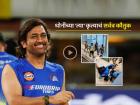 Video: धोनीने जिंकली चाहत्यांची मनं..!! व्हिलचेअर बसलेल्या चाहतीजवळ स्वत: जाऊन काढला 'सेल्फी'