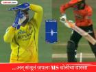 संजू सॅमसनमध्ये दिसली MS धोनीची झलक; यशस्वी रिव्ह्यूसह CSK ला मिळवून दिली अभिषेकची विकेट