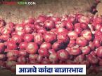 Kanda Bajar Bhav: 10 डिसेंबर रोजीला उन्हाळसह लाल कांदा दरात किती रुपयांनी फरक पडला, वाचा सविस्तर  - Marathi News | Latest News Bajarbhav Onion prices on December 10 in lasalgoan, nashik, solapur kanda market | Latest market-yard News at Lokmat.com
