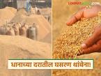 धानाची आवक घटूनही दरात वाढ नाही: छत्तीसगडच्या तुलनेत महाराष्ट्रातील शेतकऱ्यांना घामाचा दाम कमीच - Marathi News | Despite a decrease in paddy arrivals, there is no increase in prices: Compared to Chhattisgarh, the price of sweat for farmers in Maharashtra is less | Latest market-yard News at Lokmat.com