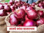 राज्यात उन्हाळ कांद्याला कुठे आणि किती दर? वाचा आजचे कांदा बाजारभाव - Marathi News | Where and how much is the price of summer onion in the state? Read today's onion market price | Latest market-yard News at Lokmat.com