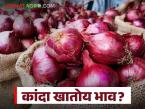 अहिल्यानगर, नाशिक, सोलापूर कुठे मिळतोय कांद्याला सर्वाधिक दर; वाचा आजचे कांदा बाजारभाव - Marathi News | Ahilyanagar, Nashik, Solapur: Where are the highest prices for onions? Read today's onion market price | Latest market-yard News at Lokmat.com