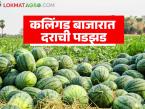 निसर्गाची अवकृपा, जागतिक घडामोडींच्या कात्रीत अडकला शेतकरी; कवडीमोल दराने होतेय कलिंगड विक्री - Marathi News | Farmers caught in the grip of nature's displeasure and global events; Watermelons are being sold at rock-bottom prices | Latest market-yard News at Lokmat.com