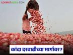 संपूर्ण हंगामामधील तोट्यानंतर कांदा आता दरवाढीच्या मार्गावर! लासलगाव कांदा बाजारात दरात सुधारणा - Marathi News | After losses throughout the season, onion prices are now on the rise! Prices improve in Lasalgaon onion market | Latest market-yard News at Lokmat.com