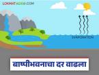 शेतकरी बांधवांनो, पाणी वापराचे योग्य नियोजन करा; कडक उन्हामुळे बाष्पीभवनाचा दर वाढला - Marathi News | Farmers, plan water usage properly; evaporation rate increased due to hot weather | Latest weather News at Lokmat.com