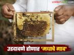 अकोले तालुक्यातील 'उडदावणे' होणार मधाचे गाव; अंमलबजावणी करण्याचे जिल्हाधिकाऱ्यांचे निर्देश - Marathi News | Honey village in Akole taluka to be 'destroyed'; District Collector orders implementation | Latest farming-ideas News at Lokmat.com
