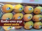 Hapus Mango : दिल्लीत होणार 'हापूस'चे प्रदर्शन! कृषी विभाग अन् महाराष्ट्र सदनाचा उपक्रम - Marathi News | Hapus mango exhibition to be held in Delhi! An initiative of the Agriculture Department and Maharashtra Sadan | Latest farming-ideas News at Lokmat.com