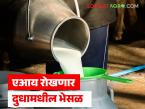 Milk Adulteration : आता एआय रोखणार दुधामधील भेसळ, काय आहे हे तंत्रज्ञान, जाणून घ्या सविस्तर  - Marathi News | Latest news Now AI will prevent adulteration in milk, what is this technology, know in detail | Latest agri-business News at Lokmat.com