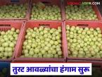 Amla Market : हिवाळा सुरू, आवळा बाजारात दाखल; भाव किती आहेत? जाणून घ्या सविस्तर - Marathi News | latest news Amla Market: Winter has started, amla has entered the market; What are the prices? Know in detail | Latest market-yard News at Lokmat.com