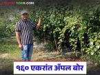 तब्बल 160 एकरात अ‍ॅपल बोर, केवळ 22 एकरातुन 55 लाख रुपये नफा, वाचा सविस्तर  - Marathi News | Latest News Farmer in Gondia district earns Rs 55 lakh profit from 22 acres of apple borer farming | Latest success-story News at Lokmat.com