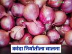 Kanda Niryat : बांग्लादेशमधून रोजचे 575 आयपी परवाने, प्रत्येकास 30 टनांपर्यंत आयातीची परवानगी  - Marathi News | Latest News Kanda Niryat Bangladesh has quadrupled the number of licenses for onion imports | Latest market-yard News at Lokmat.com