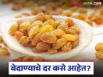 चांगल्या प्रतिच्या बेदाण्याला किती रुपयांचा दर, मागीलवर्षी पेक्षा यंदा किलोचे दर कसे आहेत?  - Marathi News | latest news Bedana Market How much does a good quality currant cost | Latest market-yard News at Lokmat.com