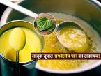 आई - आजी सांगते साजूक तुपात घालायलाच हवं एक विड्याचं पान कारण...फायदे मोजाल तितके कमी! - Marathi News | why add betel leaf in ghee benefits of betel leaf in ghee how to make aromatic ghee at home betel leaf while making ghee | Latest sakhi Photos at Lokmat.com आई - आजी सांगते साजूक तुपात घालायलाच हवं एक विड्याचं पान कारण...फायदे मोजाल तितके कमी! - Marathi News | why add betel leaf in ghee benefits of betel leaf in ghee how to make aromatic ghee at home betel leaf while making ghee | Latest sakhi Photos at Lokmat.com